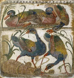 Wasservögel (Mosaik)